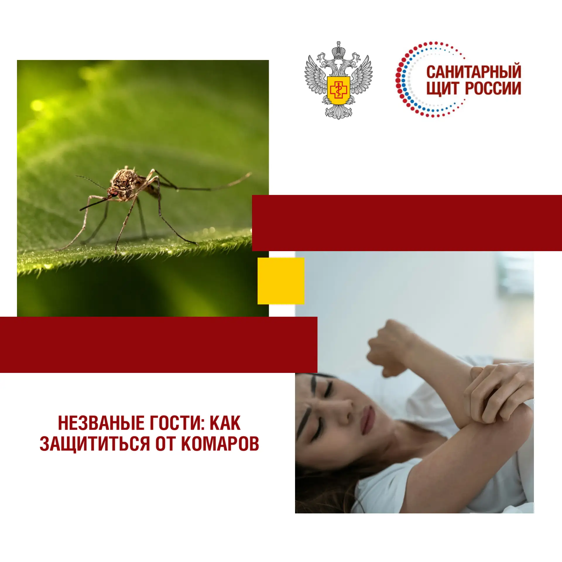 Незваные гости: как защититься от комаров

#санпросвет #санитарныйщитроссии #Саратов #санитарныйщит
