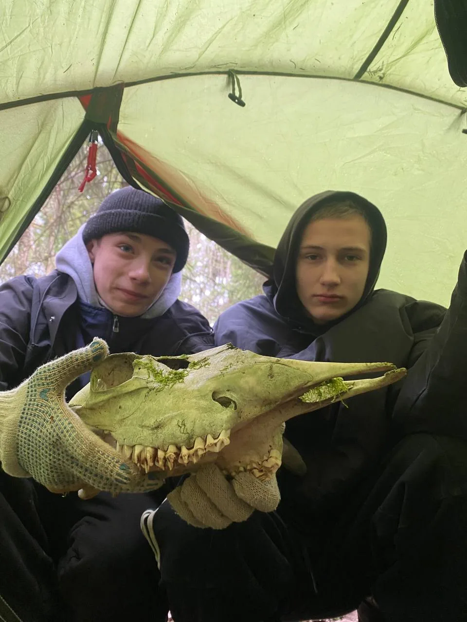 😌 Приглашаем школьников в военно‑патриотический кружок поискового движения — «Дозор»!