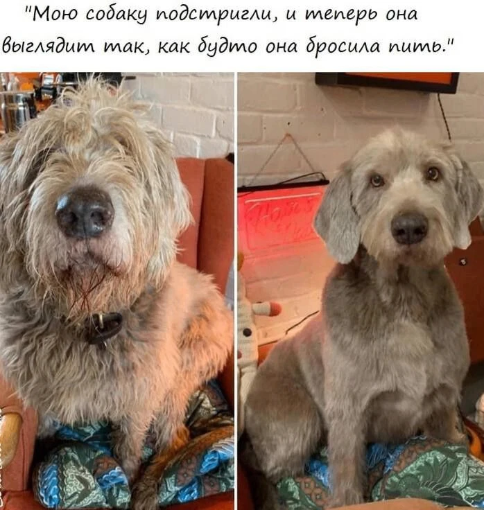 Жми подписаться🤣