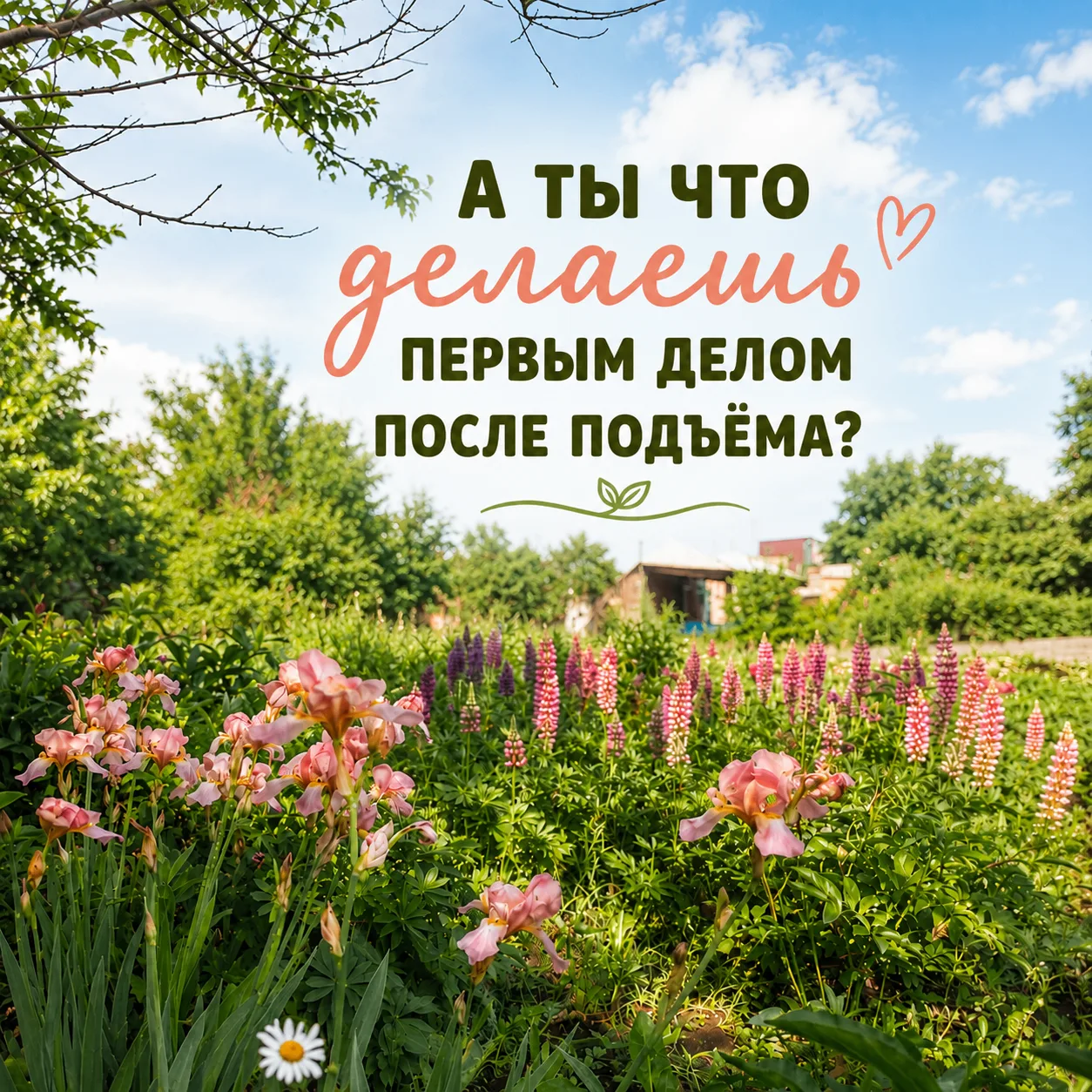 Прежде чем встать с кровати — я трачу три минуты.
