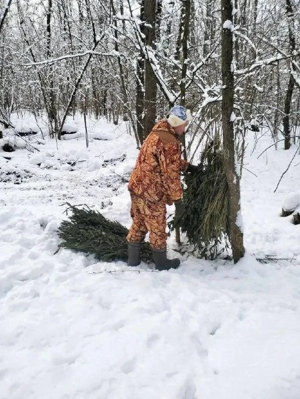 🚛 Служба доставки крапивных веников и зерна есть в Липецкой области. Даже заказывать н...