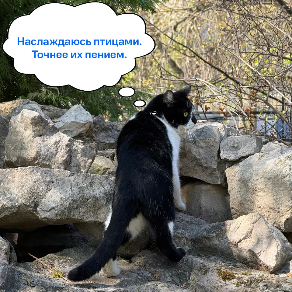 Доброе утро, ТГУ☀️  Мы к вам с проверкой: ✔️ улыбнулись; ✔️ первыми лучами солнца насладились; ✔️ за