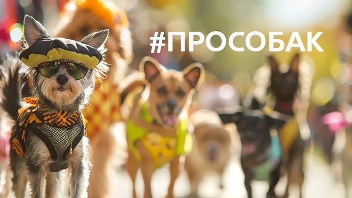 🐕 НАПОМИНАНИЕ: В СУББОТУ - ФЕСТИВАЛЬ #ПРОСОБАК В ЕМЕЛЬЯНОВО!