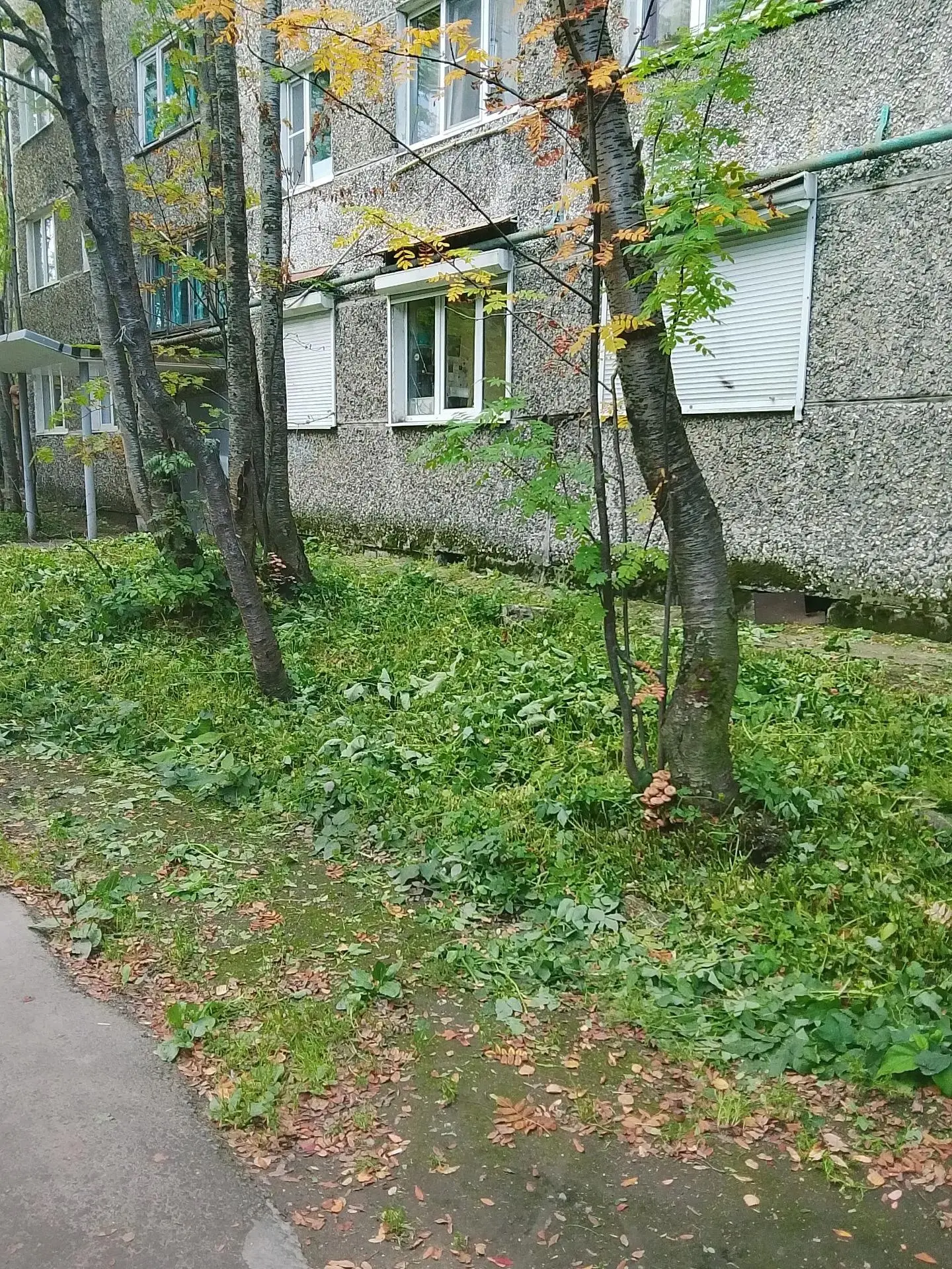 💚Сентябрь - не повод убирать косы на склад.