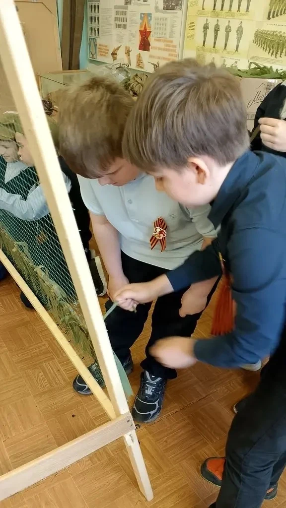 🪖КОЛПИНСКАЯ НАРОДНАЯ СЕТЬ🪖  🎗️В Петербурге маскировочные сети для бойцов СВО плетут тысячи доброволь