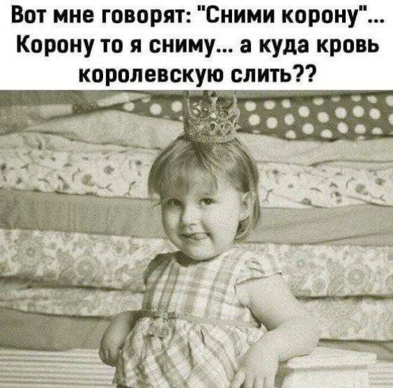 Мемы каждый день • Подписаться