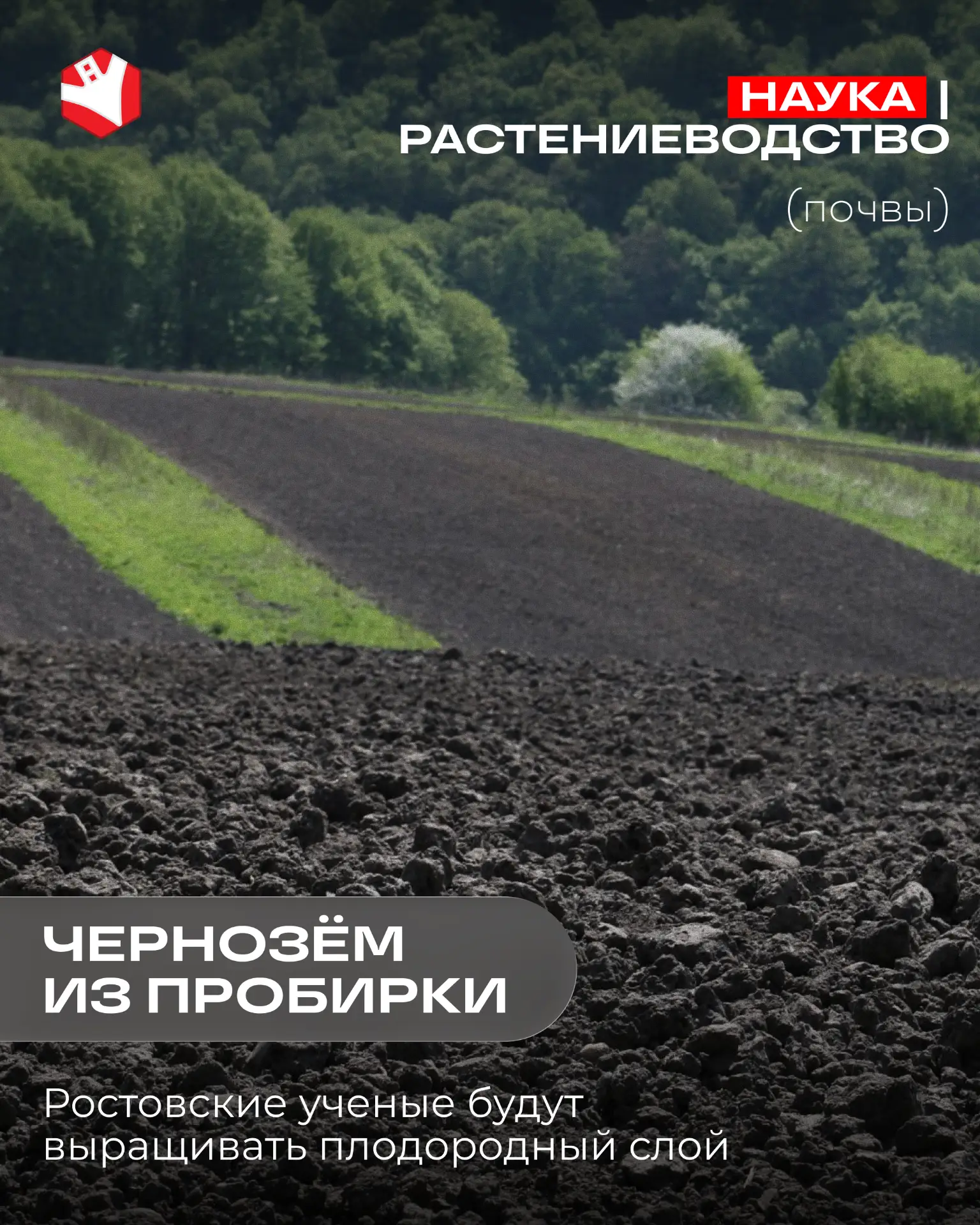 В Ростовской области решили в буквальном смысле выращивать плодородие