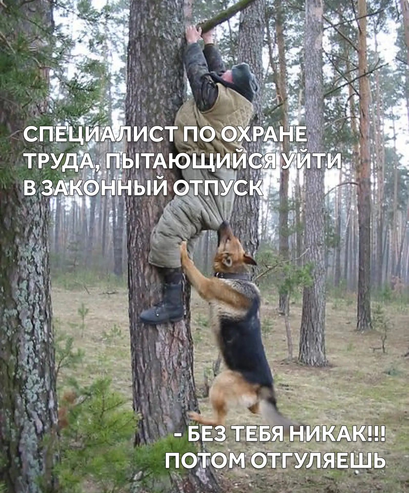 Но мы все равно рекомендуем сходить 🏖️