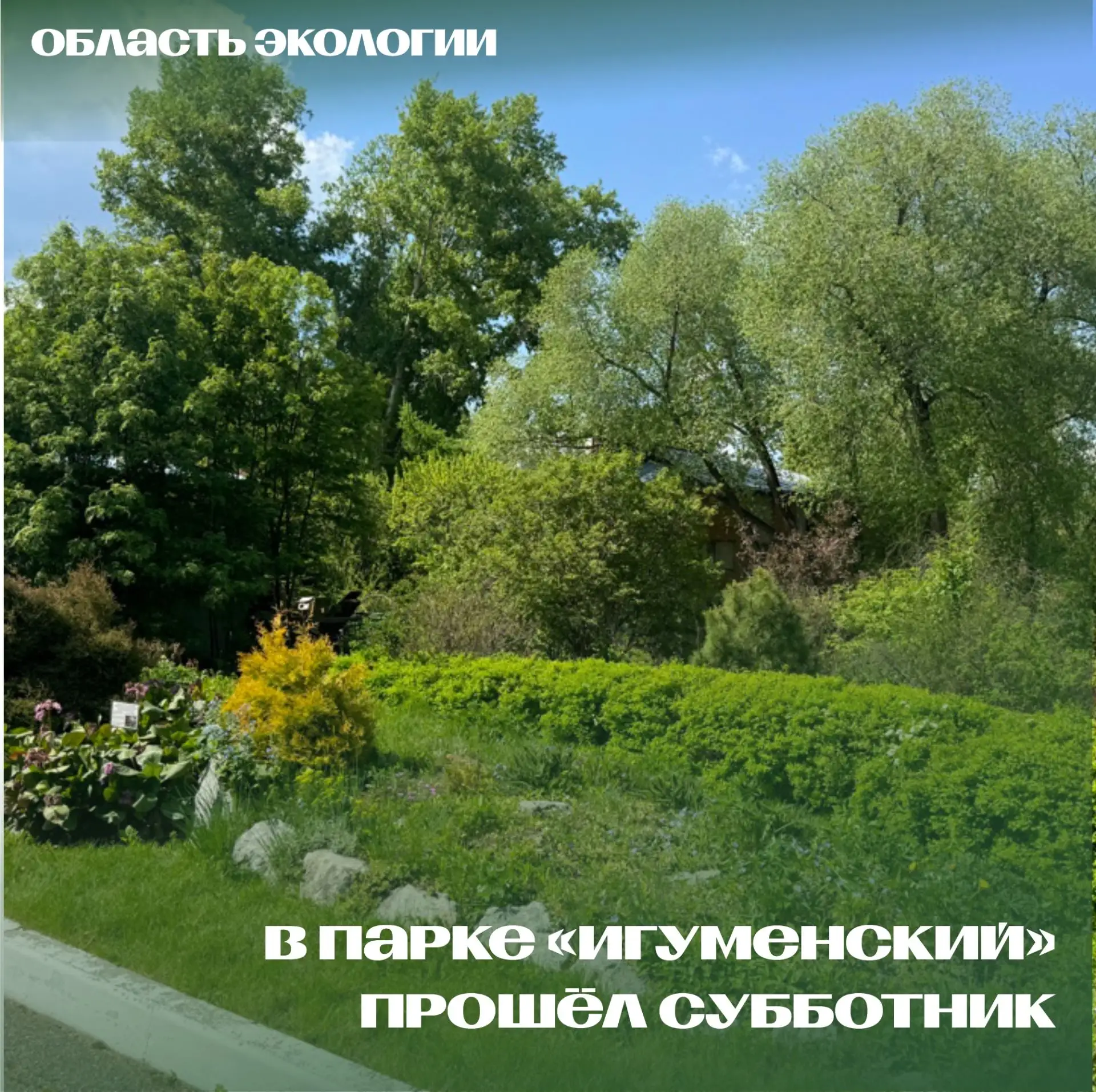 🍀Готовимся к экологическому фестивалю!