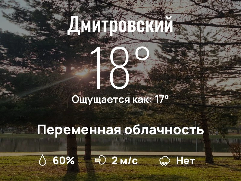 Что с погодой в Дмитровском?