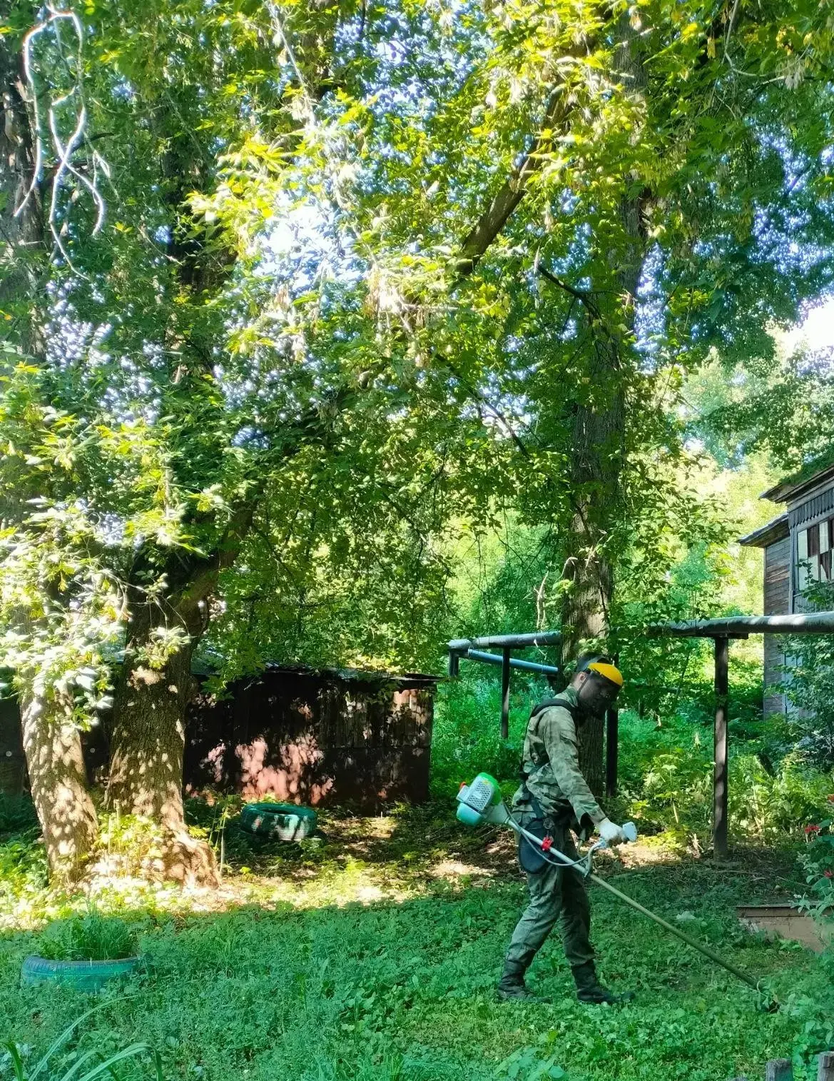 🌿 Продолжаем сезон покосов!