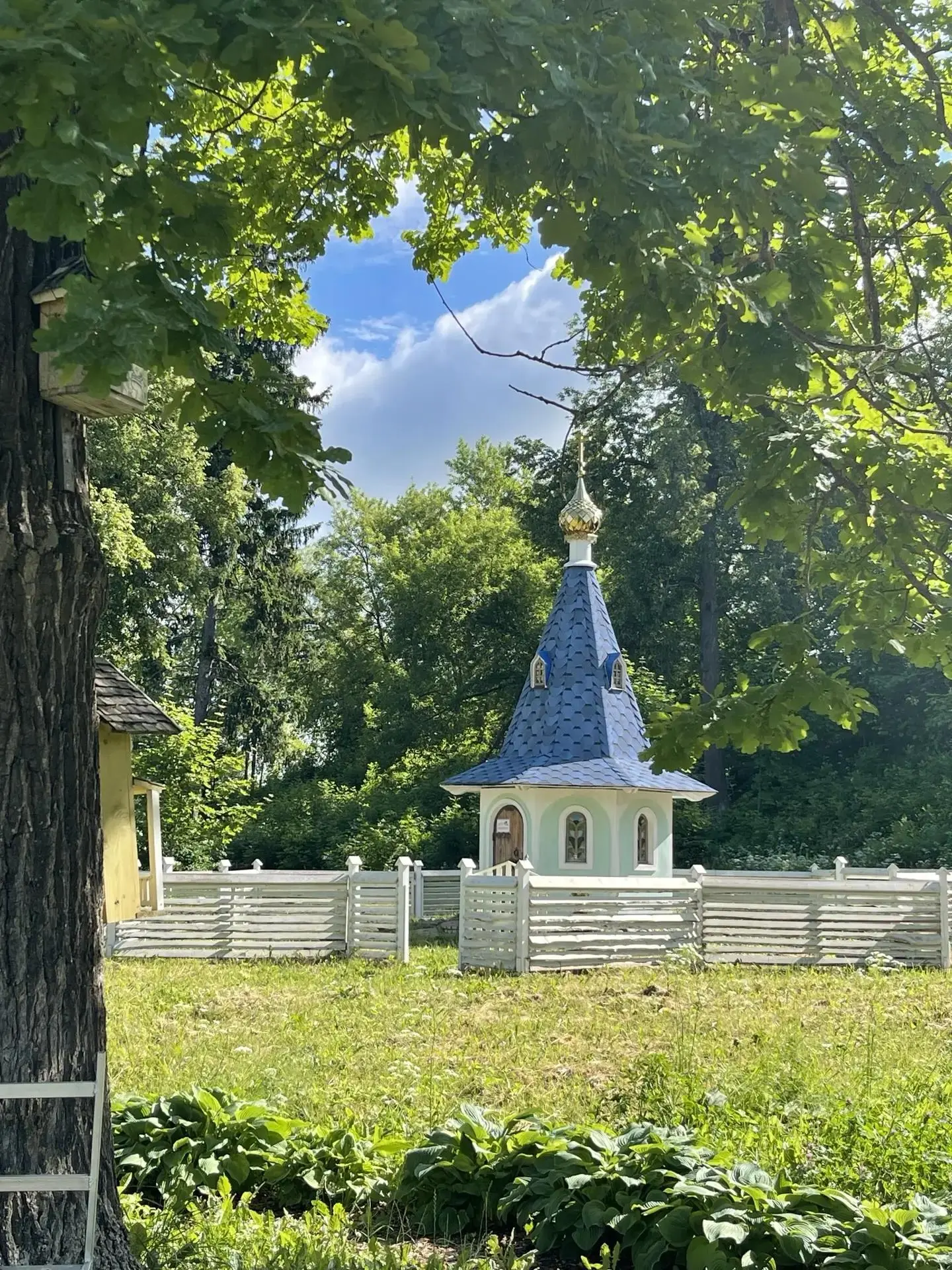 Доброе утро, друзья!☀

Пятничное утро радует нас хорошей погодой.🌈 Завершаем очередную рабочую неде