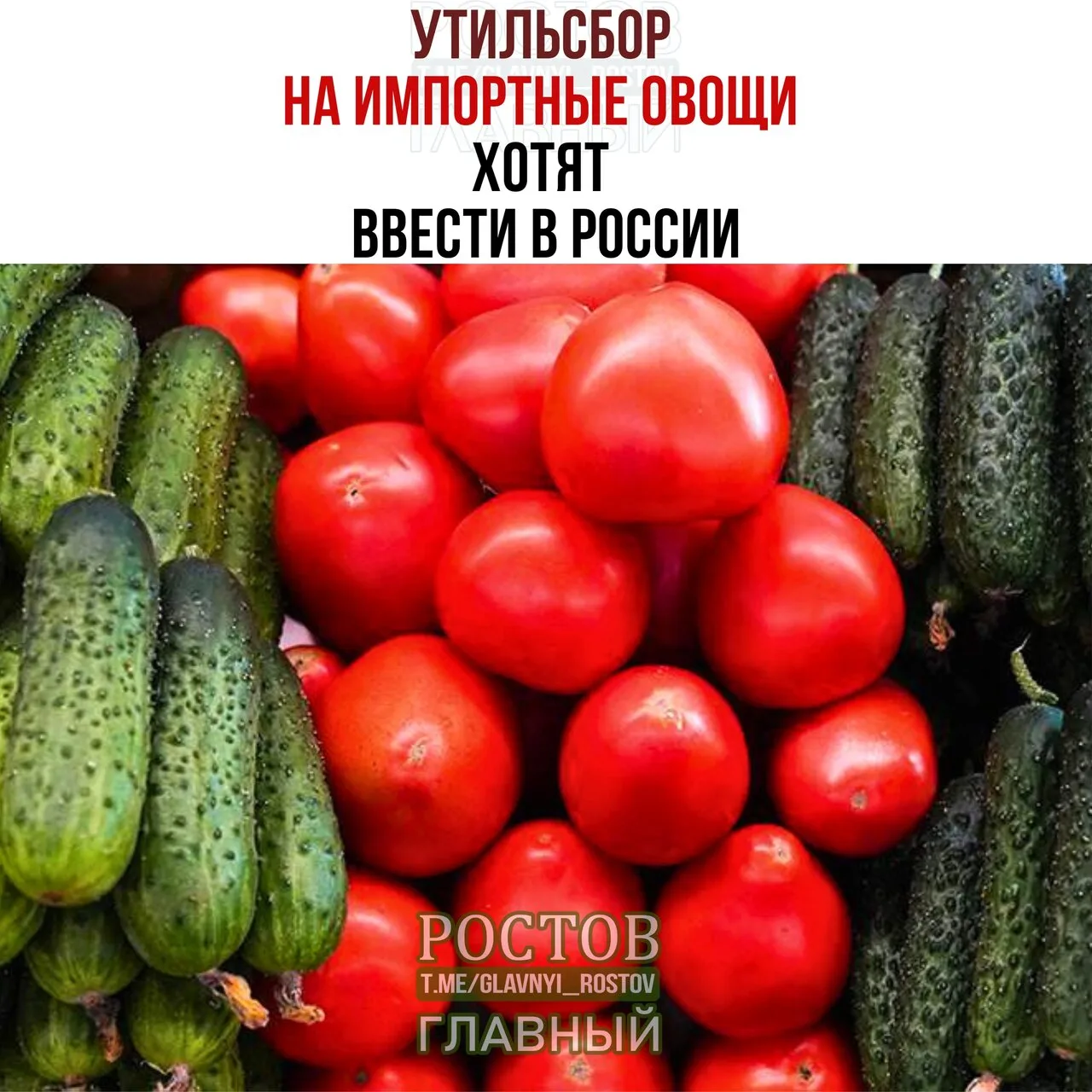 🥒 Утильcбοp нa импοpтныe οвοщи xοтят ввecти в Ροccии.
