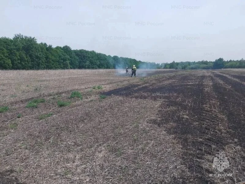 ❗️В Верховском районе подтвердились 2 термоточки, как горение сухой травы   За прошедшие сутки орлов