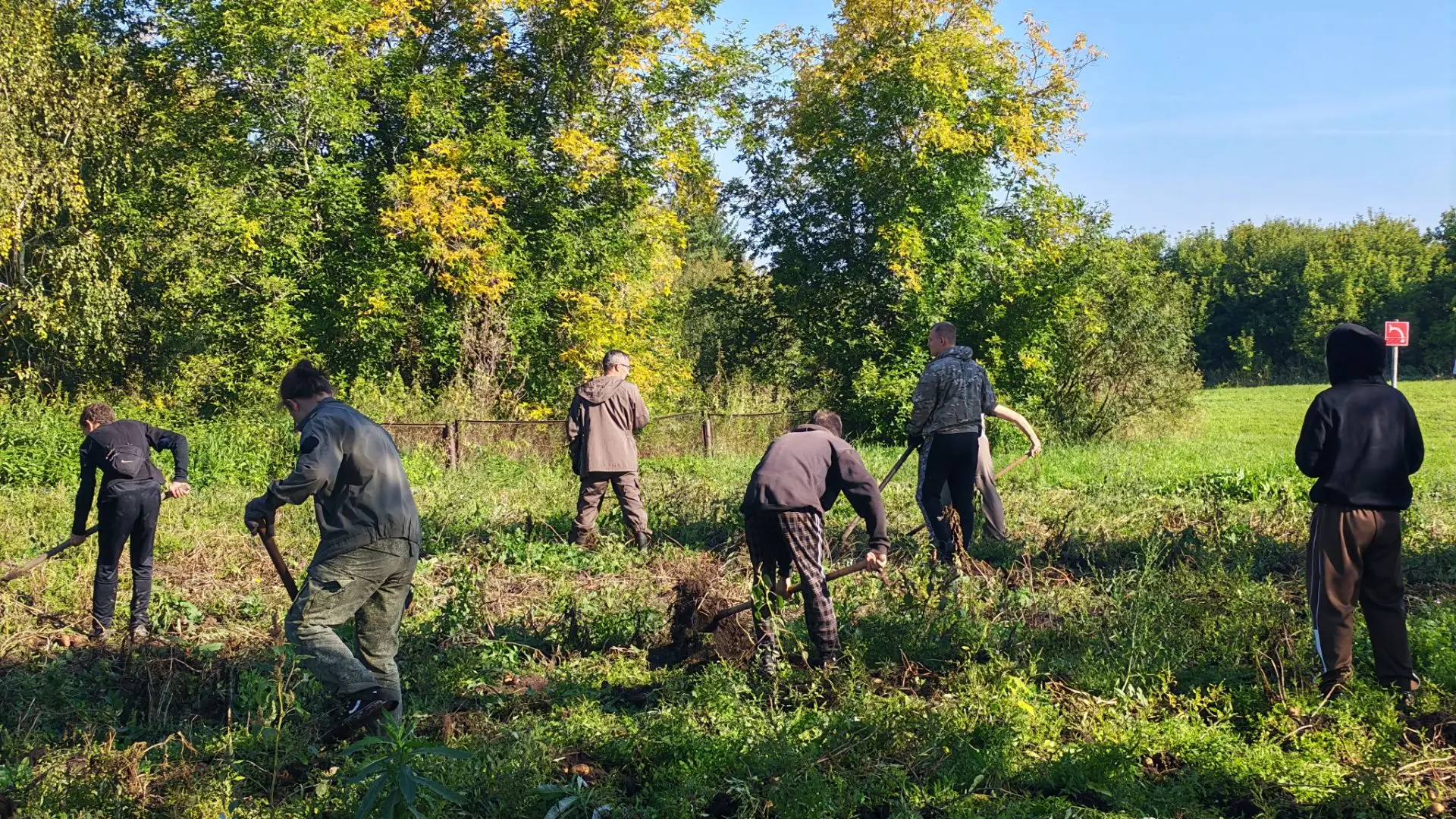🧑‍🌾 А у нас полном ходом идёт сбор урожая!