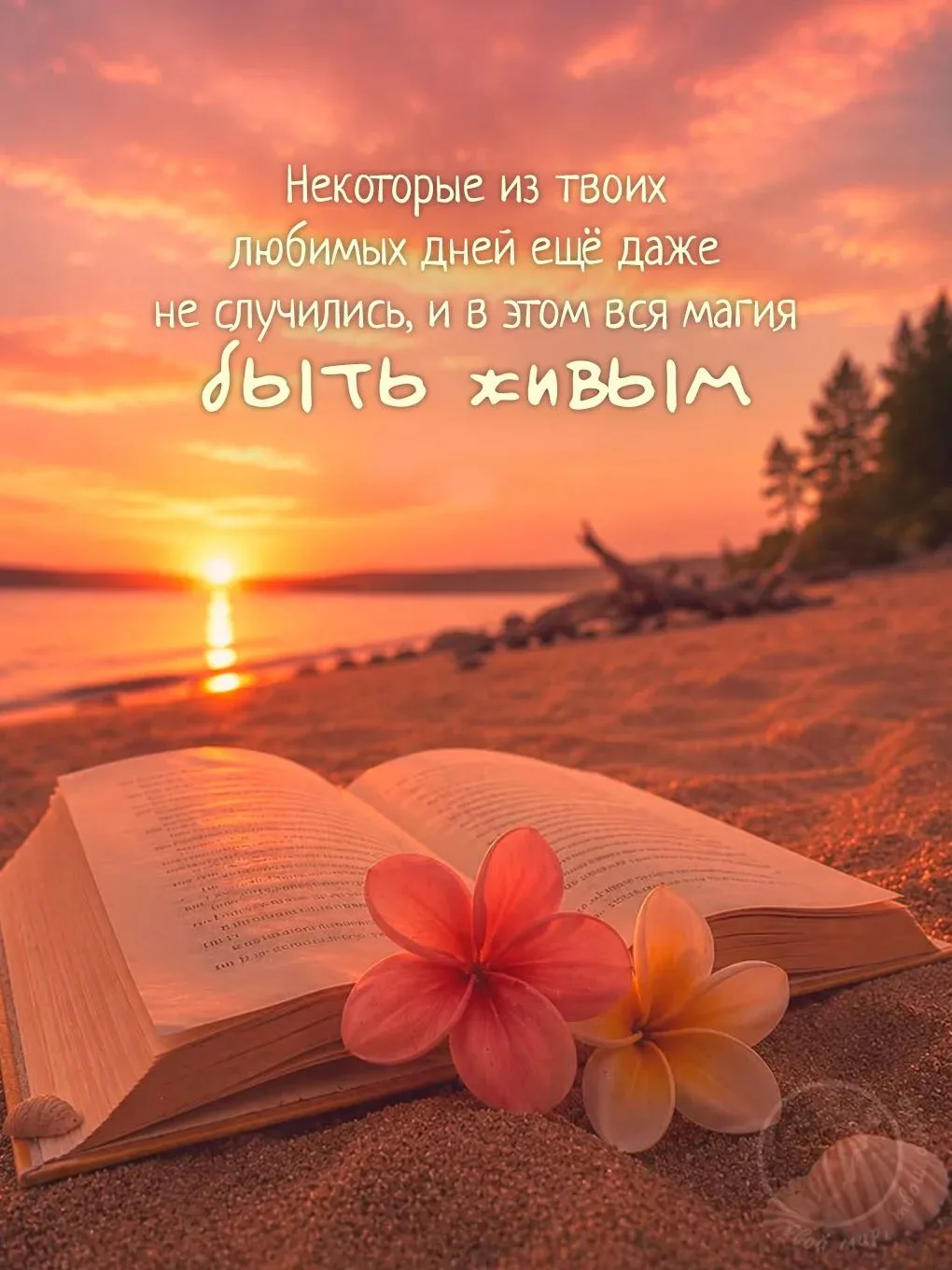 Единственная поговорка, с которой я согласна на все сто - «всему свое время». И вот правда же - ты м