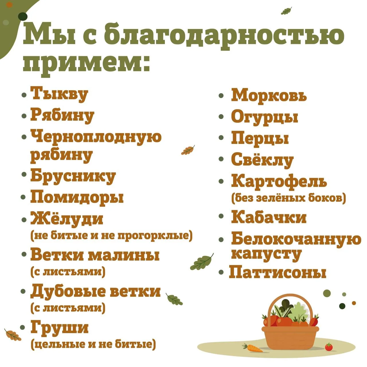 Лишний урожай можно отдать животным Ленинградского зоопарка