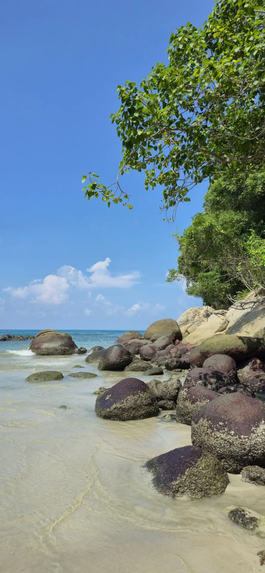 ТАИЛАНД НА ЗИМУ МОЖНО ЗАБРОНИРОВАТЬ СЕЙЧАС, А ЗАПЛАТИТЬ ПОТОМ! 🇹🇭