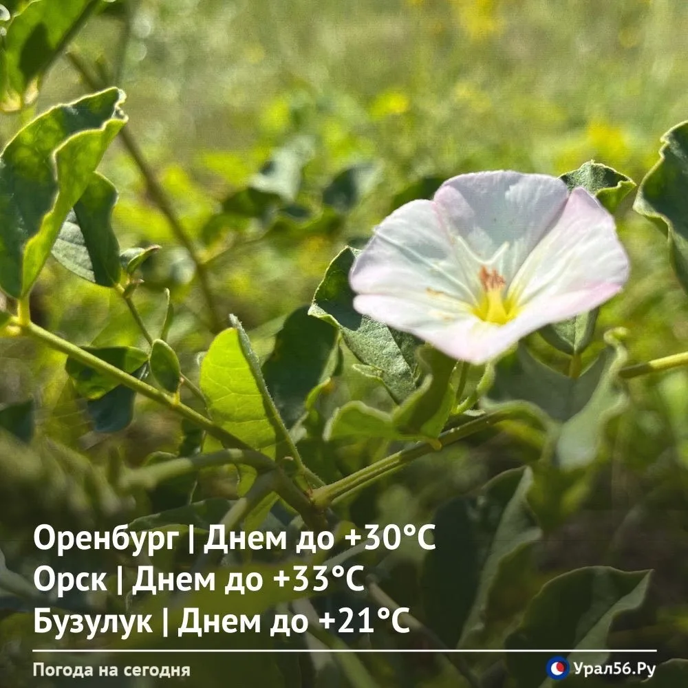 Изображение 1 к публикации «Урал56.Ру | Оренбург, Орск»