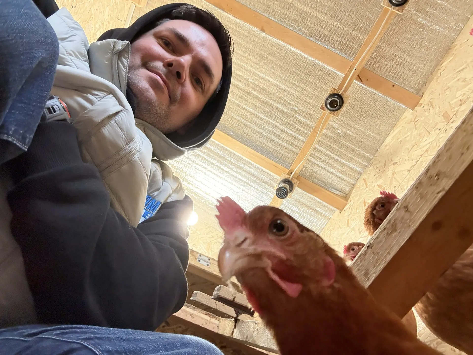 Дела у нас сегодня деревенские 🐓😎