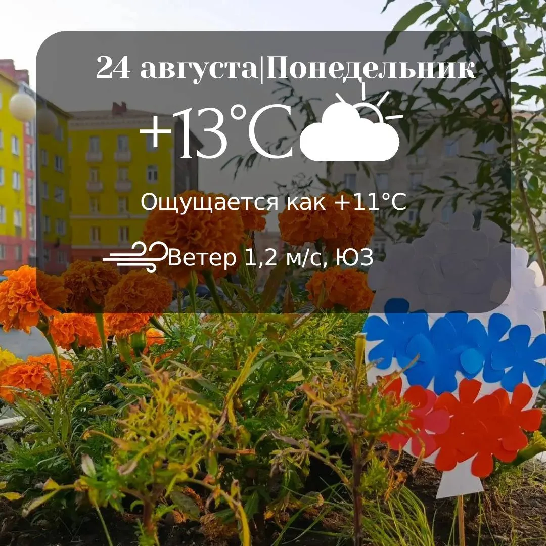 24 августа в Норильске без существенных осадков, видимость хорошая. ветер переменный 3-...