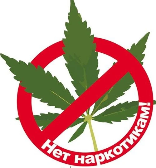 🚫 Наркотики — путь к зависимости и разрушению здоровья

Наркотики — это психоактивные вещества, кот