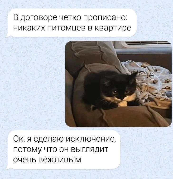Изображение 1 к публикации «ОРУ НЕ МОГУ»