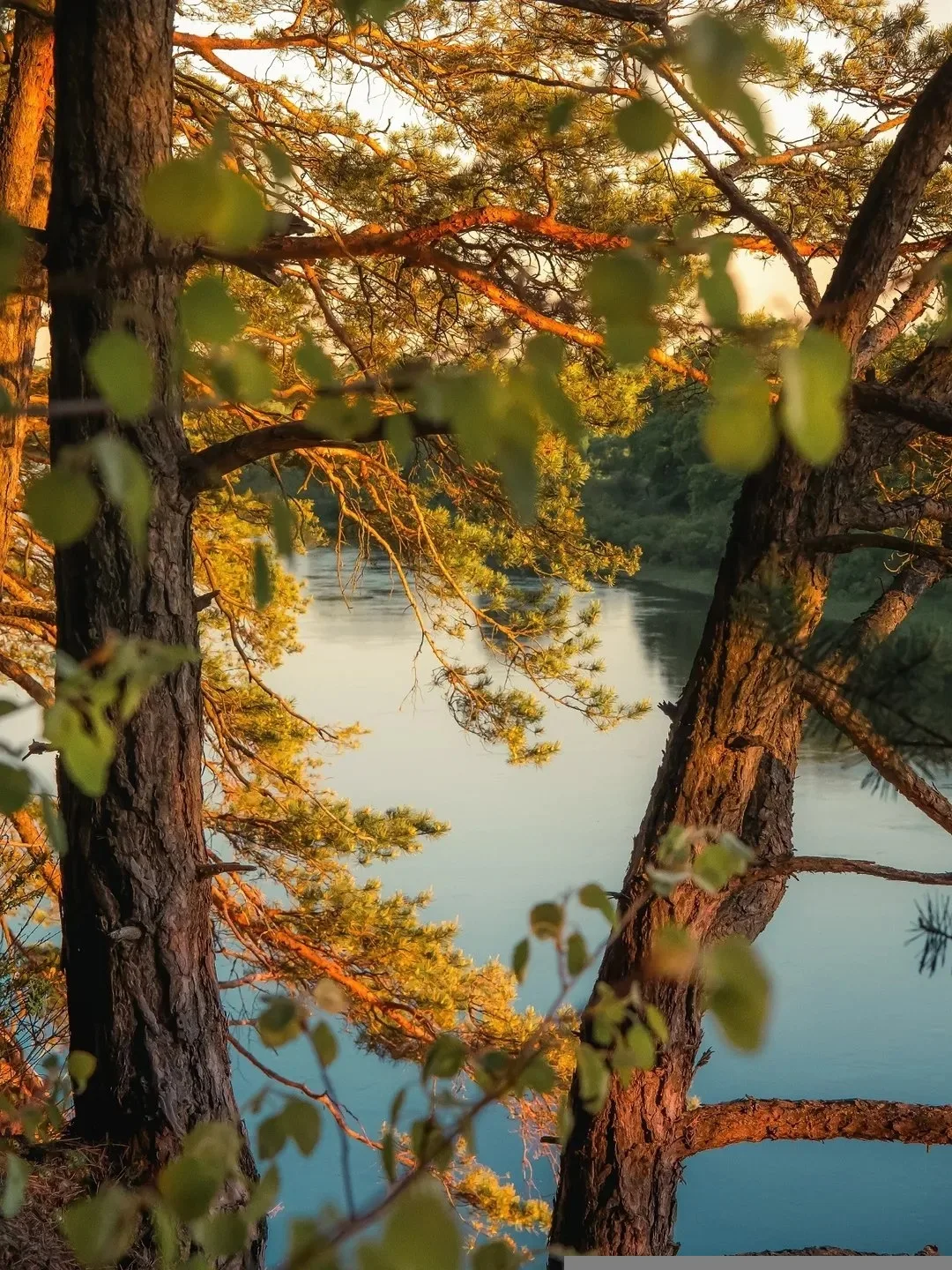 ☀️🍃🕊 С добрым утром, дорогие!

     Пусть Господь благословит вас в наступающем дне! 

     Пусть 