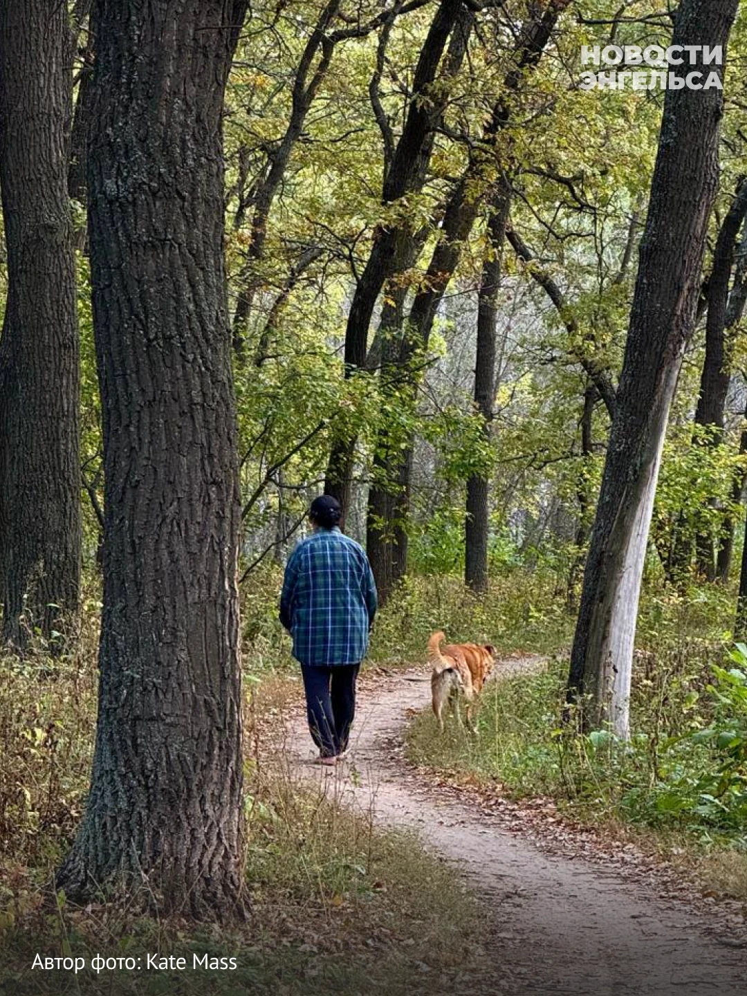 🍂 Золотая пора начинается в Тинь-Зине