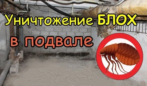 Уважаемые жители многоквартирного дома по адресу: с. Криуши, ул. Затон, д. 50!