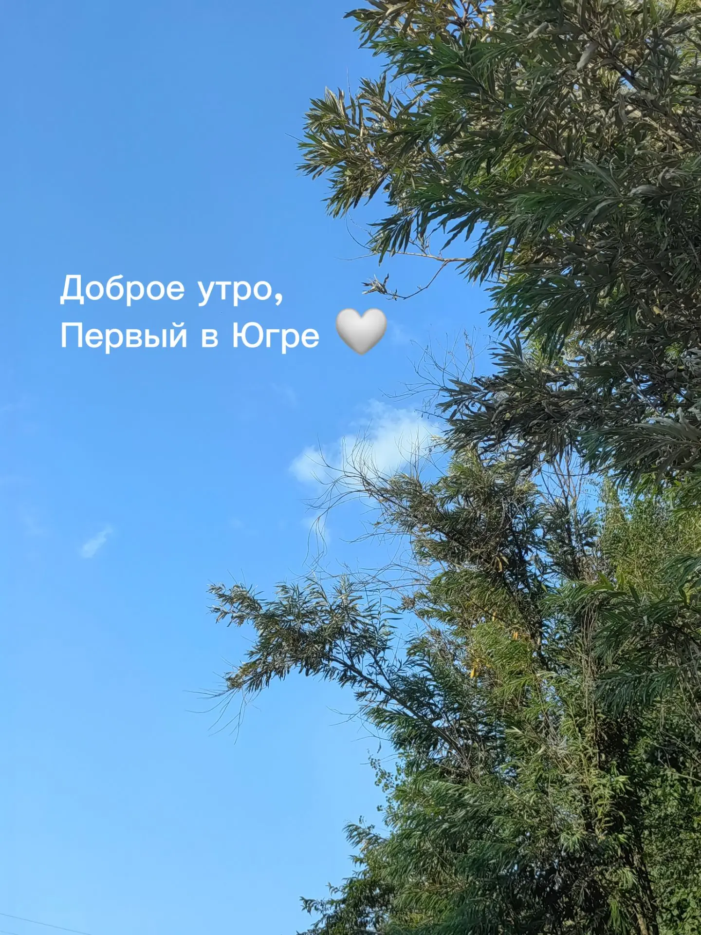 Последний день второго летнего месяца, друзья 👀