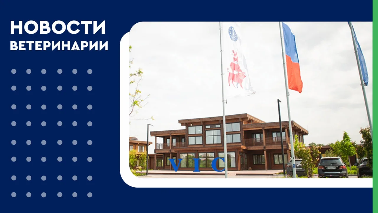 📢 ГК ВИК получила сертификат GMP ЕАЭС