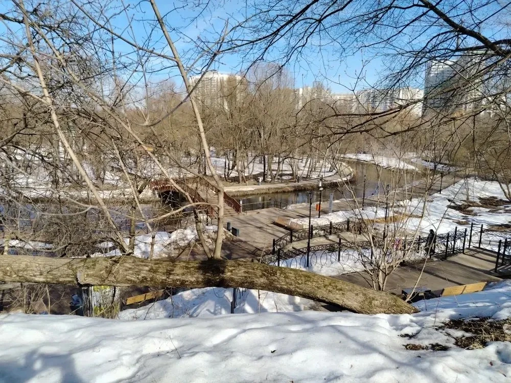 🏛️ Экскурсия в усадьбу Свиблово: путешествие в историю (Корпус 1)  В конце марта  группа ДОПА «Краев
