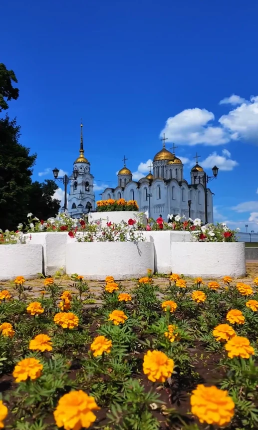 Владимирские смотровые площадки украсили подвесными вазонами с петуниями