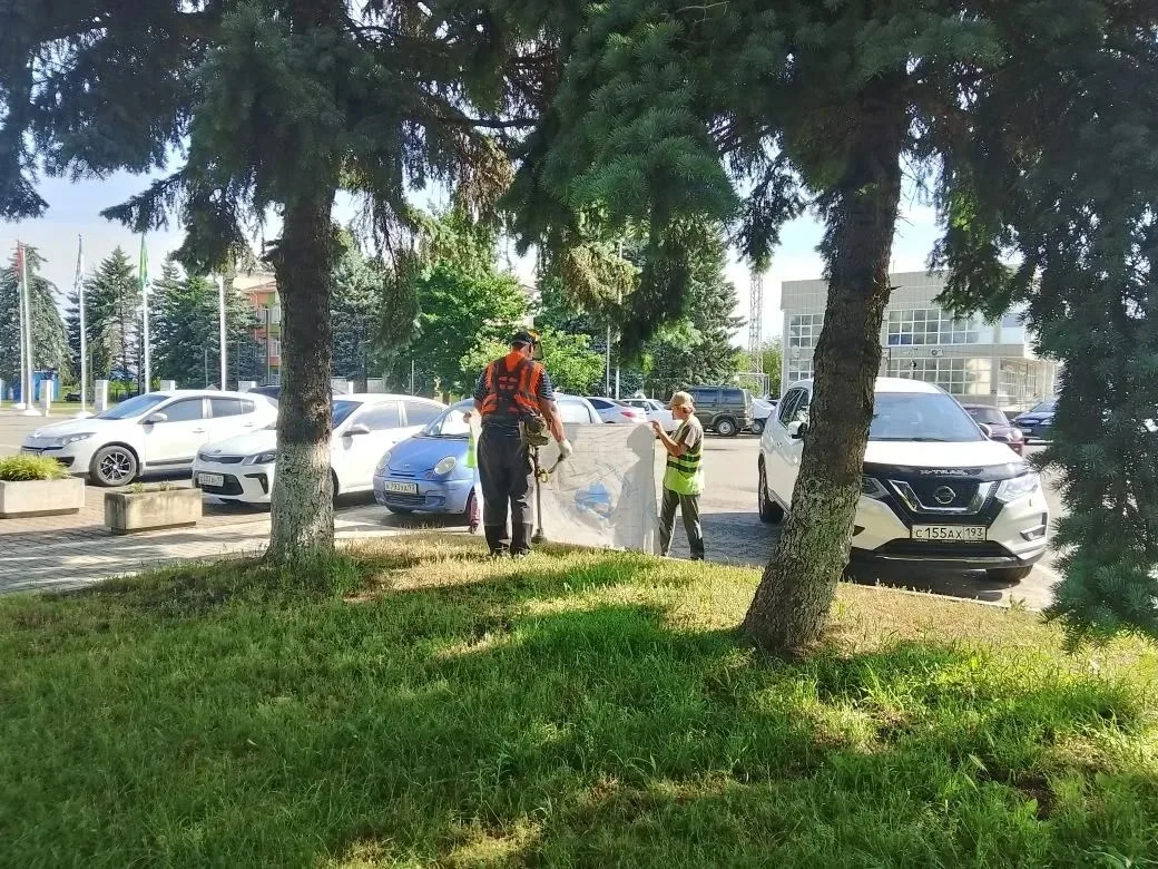 Покос газонов