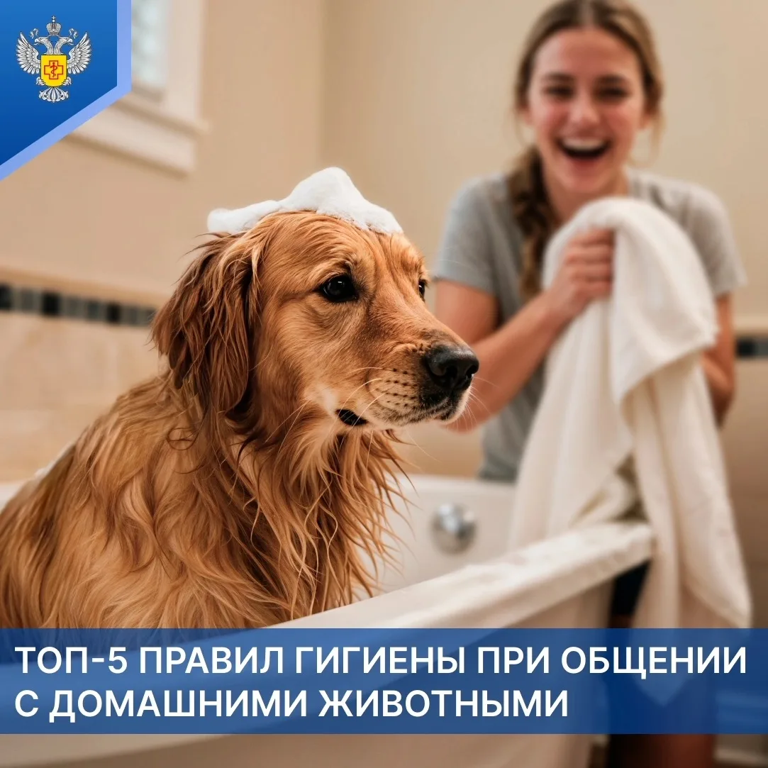 Питомцы дарят массу положительных эмоций, но чтобы общение было безопасным, стоит соблю...