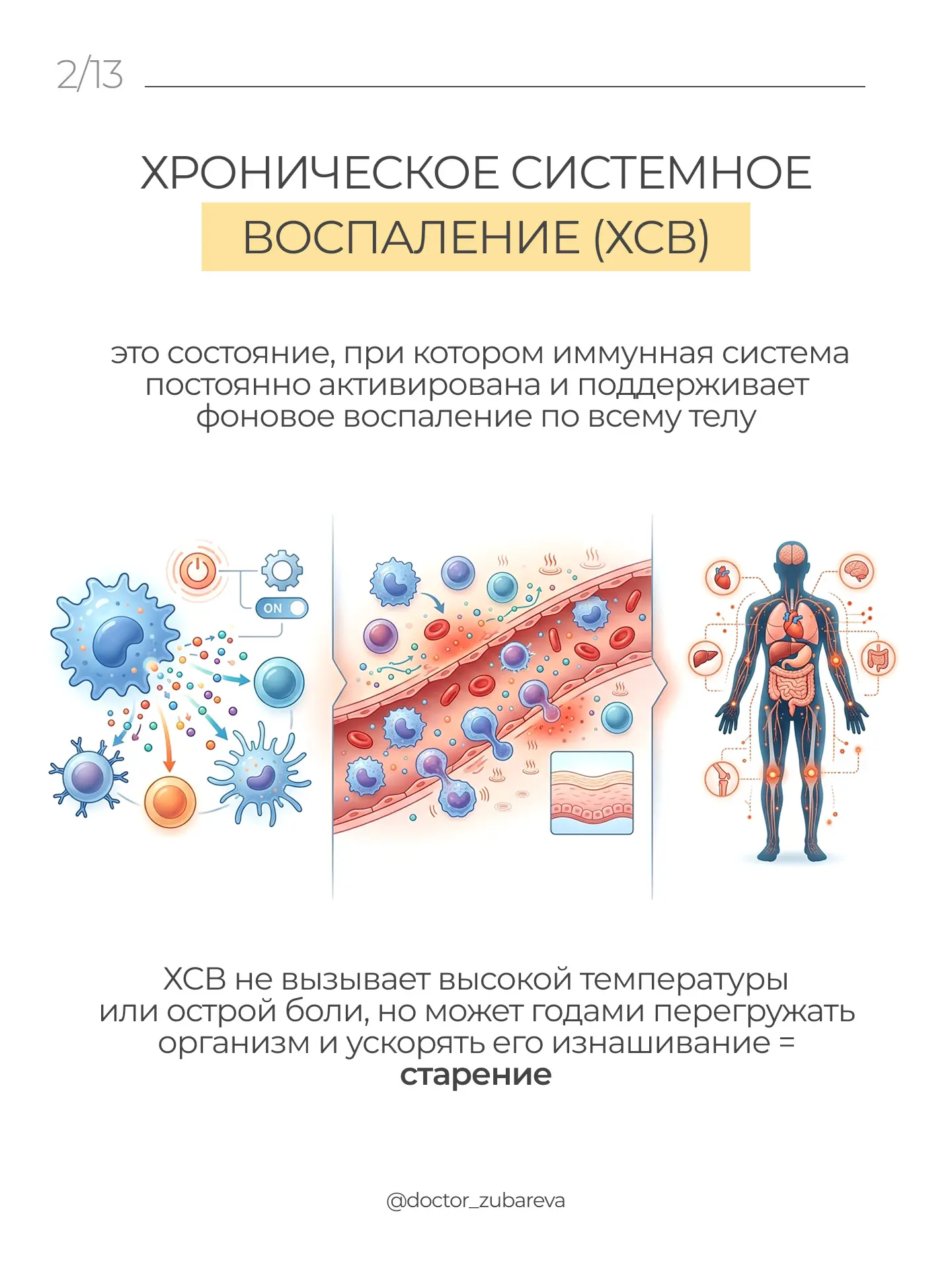 Самый простой способ замедлить старение — это победить системное воспаление!
