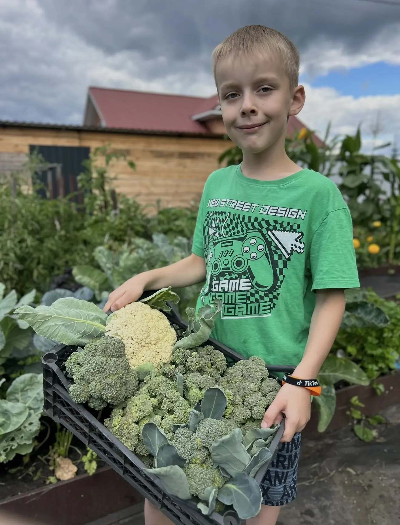КАПУСТА БРОККОЛИ - нюансы 🥦   -Когда сажать на рассаду? -Когда высаживать в грунт? -Как сделать так,