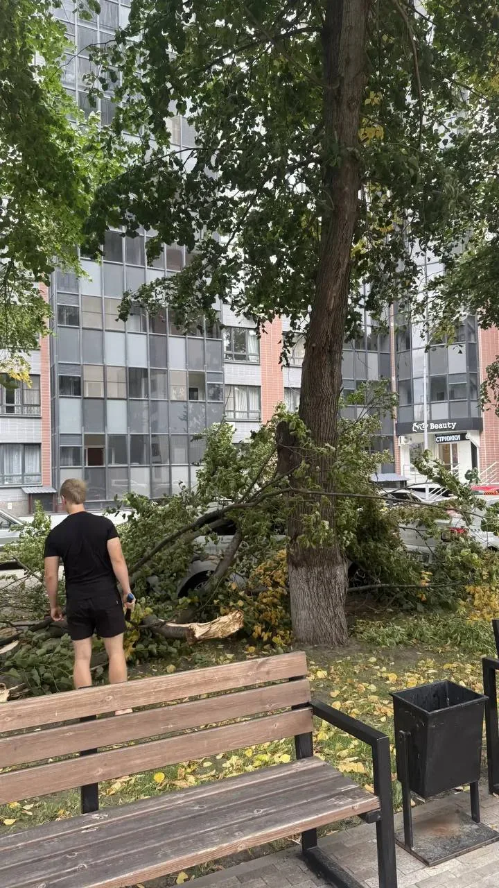 Изображение 2 к публикации «Воронеж 360°»