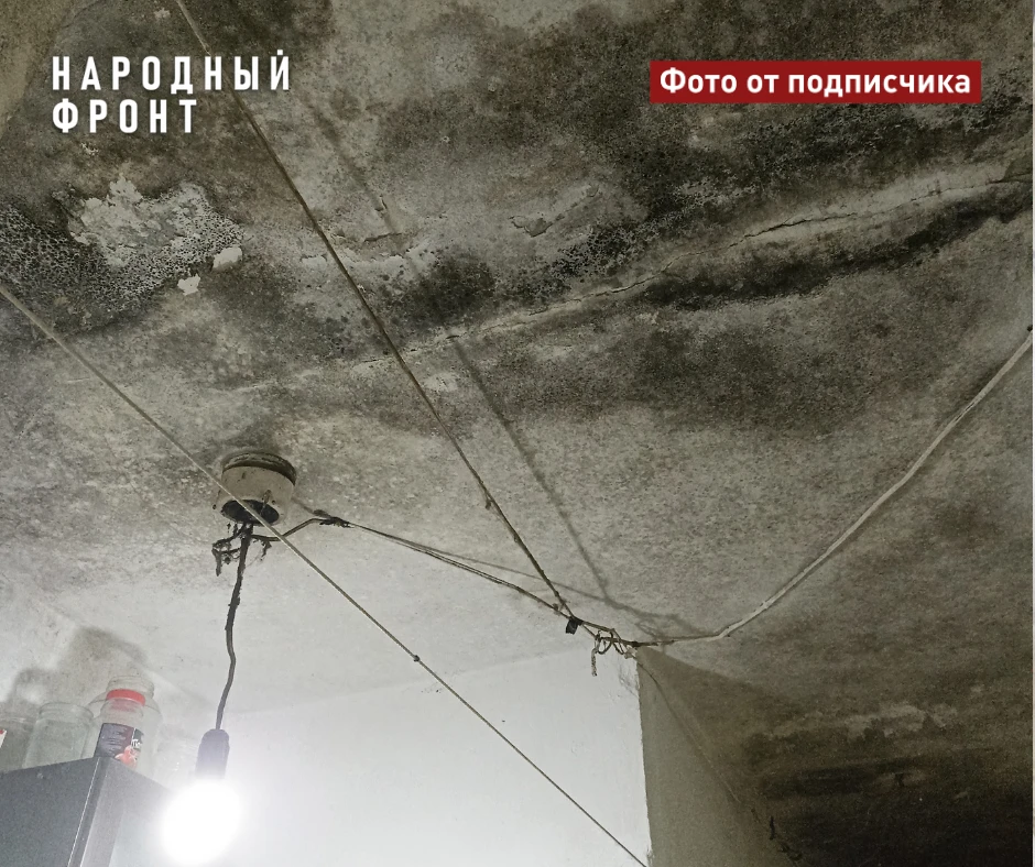 Что делать томичам, когда в квартире сверху течет?  
 
Народный фронт сообщил о том, что томичи пожа