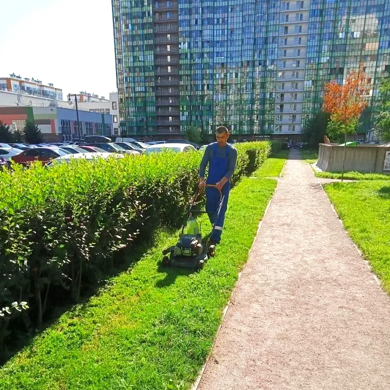Приводим в порядок зелёные зоны и пространство вокруг дома 🌱
