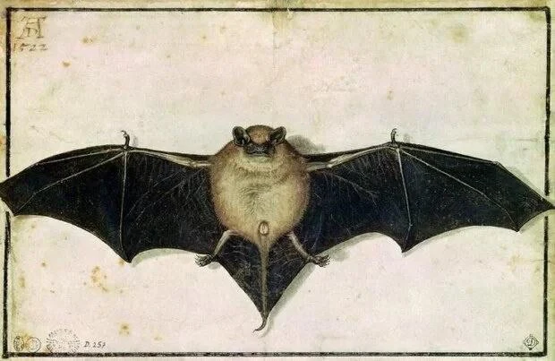 "Летучая мышь", 1522 г.