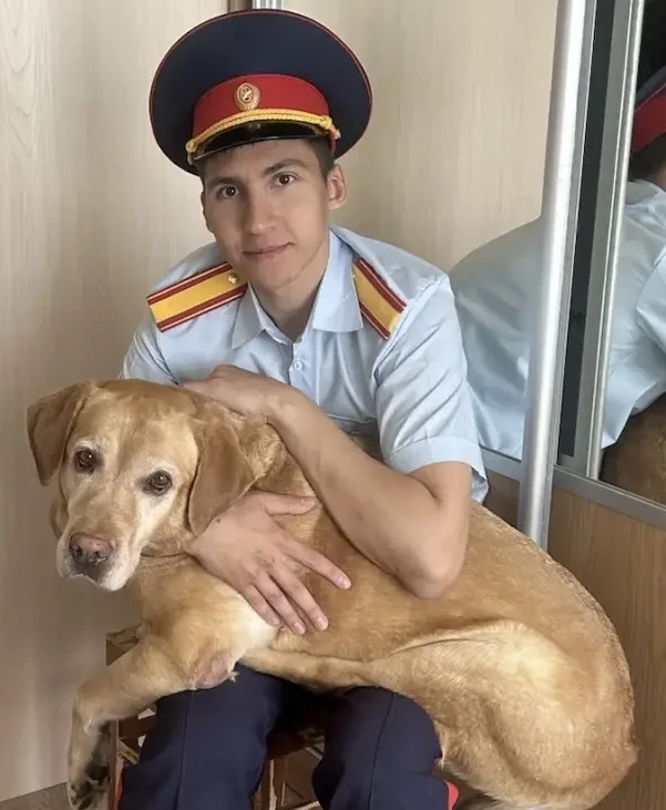 Песик дома