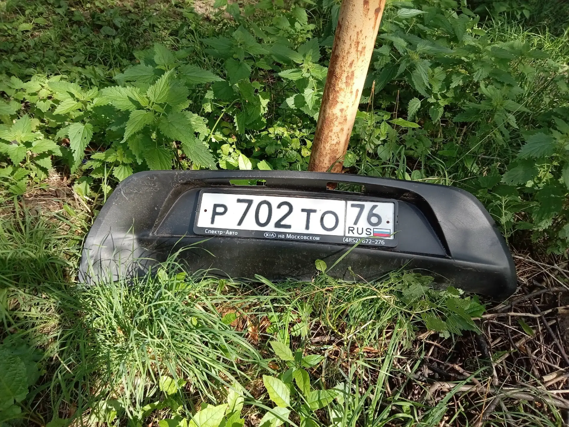 Прошу опубликовать