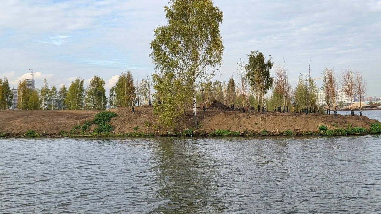 🌳 Бобровый остров в Нагатино возвращает себе зелёный вид: здесь стартовала высадка дер...