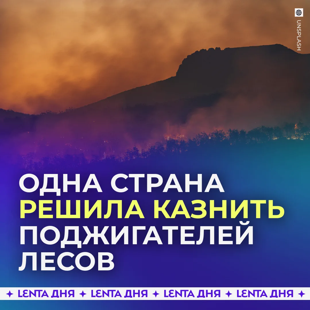 ☠️ За поджог леса будут казнить.