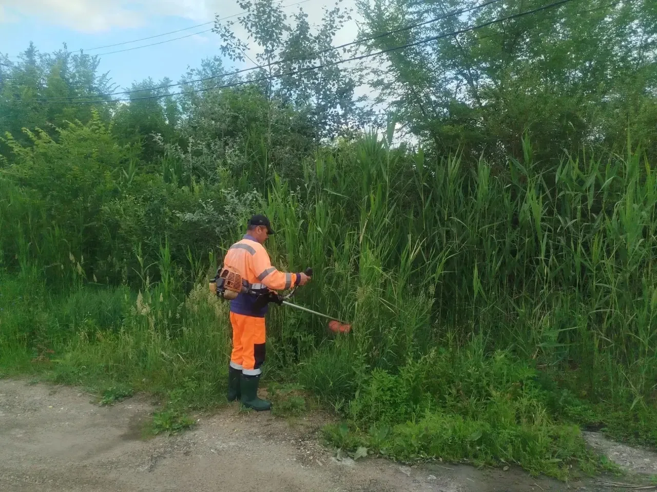 ☘️Приводим зеленые зоны города в порядок, косим газоны и сорную растительность