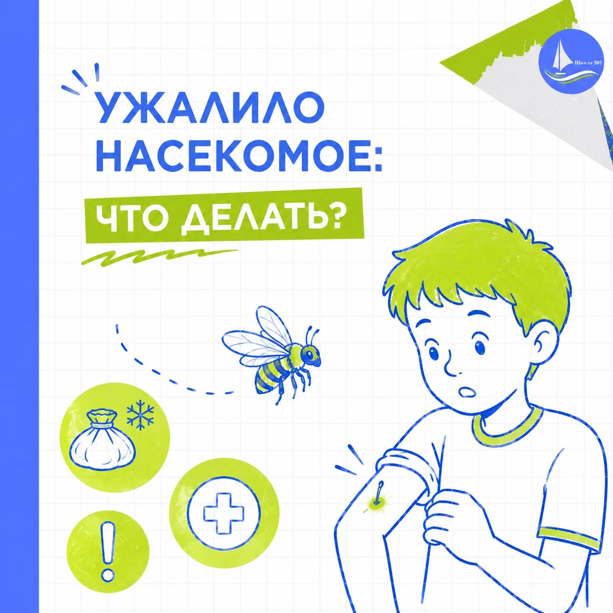 🐝УЖАЛИЛО НАСЕКОМОЕ: ЧТО ДЕЛАТЬ?