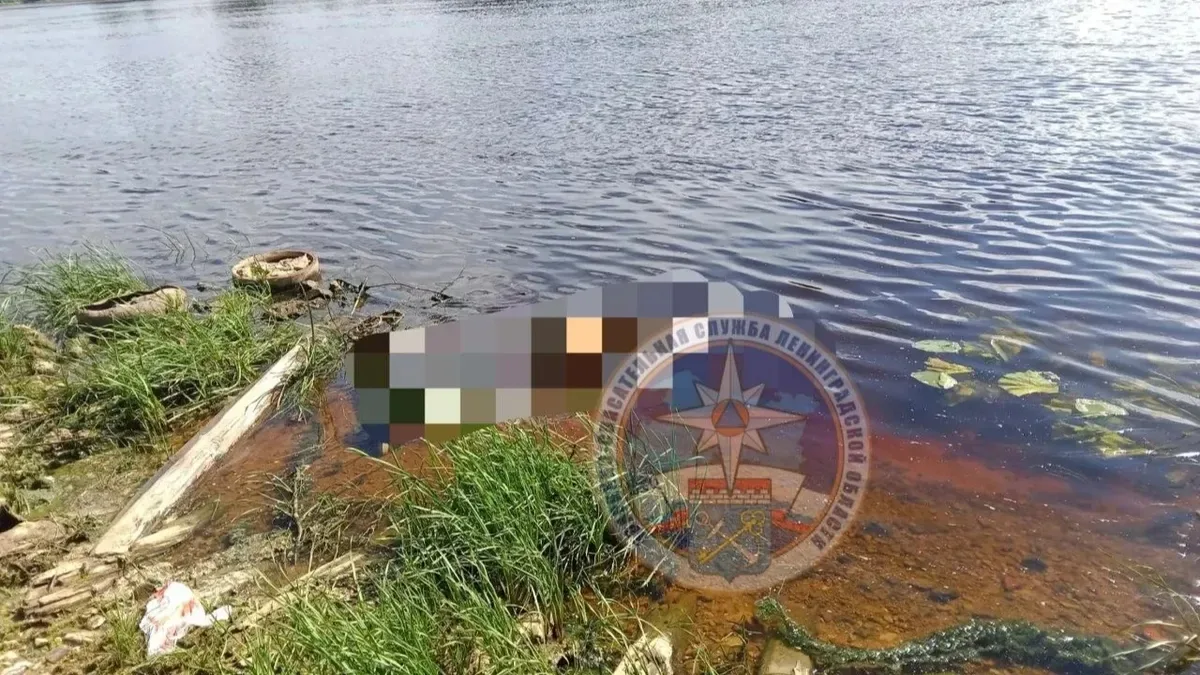 В реке Волхов после сообщения очевидцев извлекли тело мужчины

Сообщение о том, что очевидцы замет