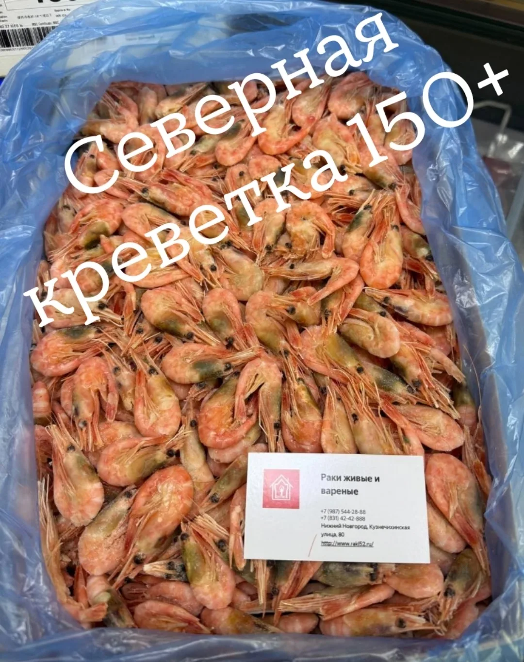 Это Мурманская ,дикая креветка  свежайшая креветка ,